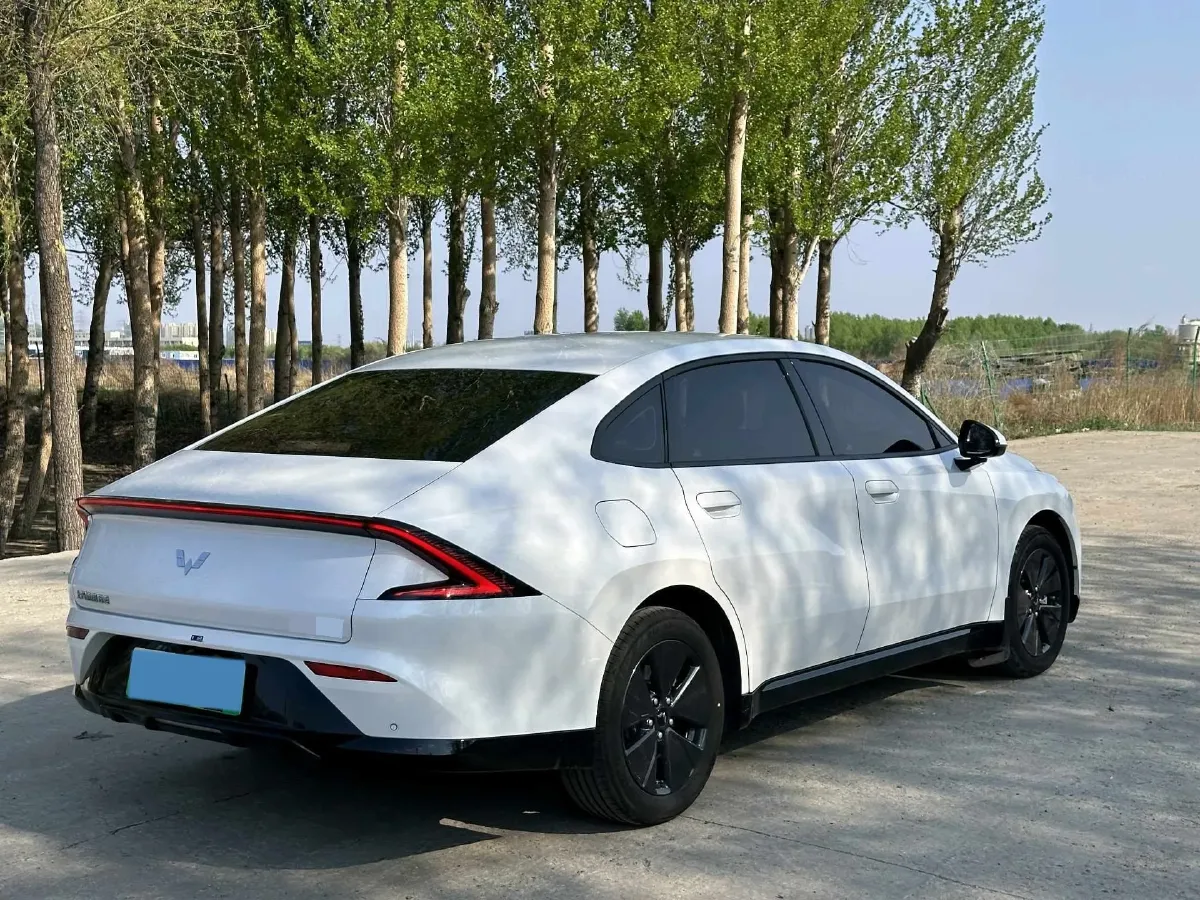 2024 WuLing XingGuang 1.5L 106HP L4 E-CVT PHEV 9.5KWH,autocango,china used car exporter,china ev exporter,chinese used car exporter,chinese used ev exporter