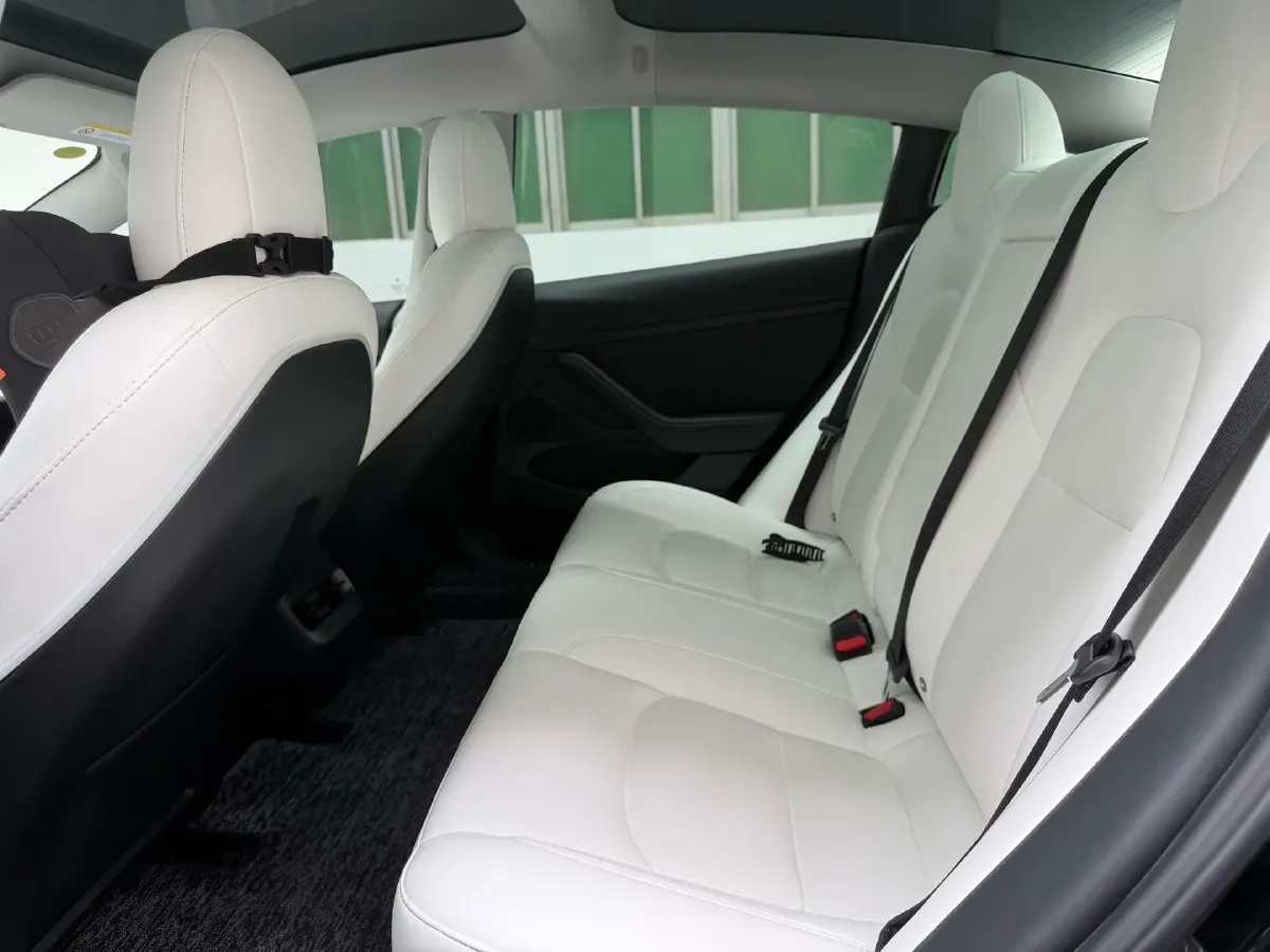 2021 Tesla Model 3 BEV 76.8KWH,autocango,china used car exporter,china ev exporter,chinese used car exporter,chinese used ev exporter
