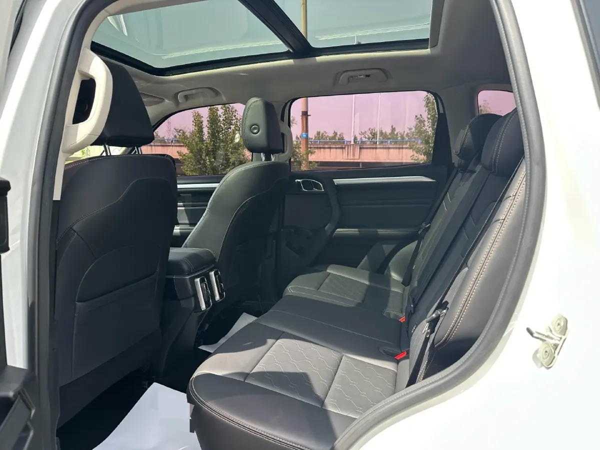 2021 Haval Dargo 2.0T 211HP L4 7DCT,autocango,china used car exporter,china ev exporter,chinese used car exporter,chinese used ev exporter