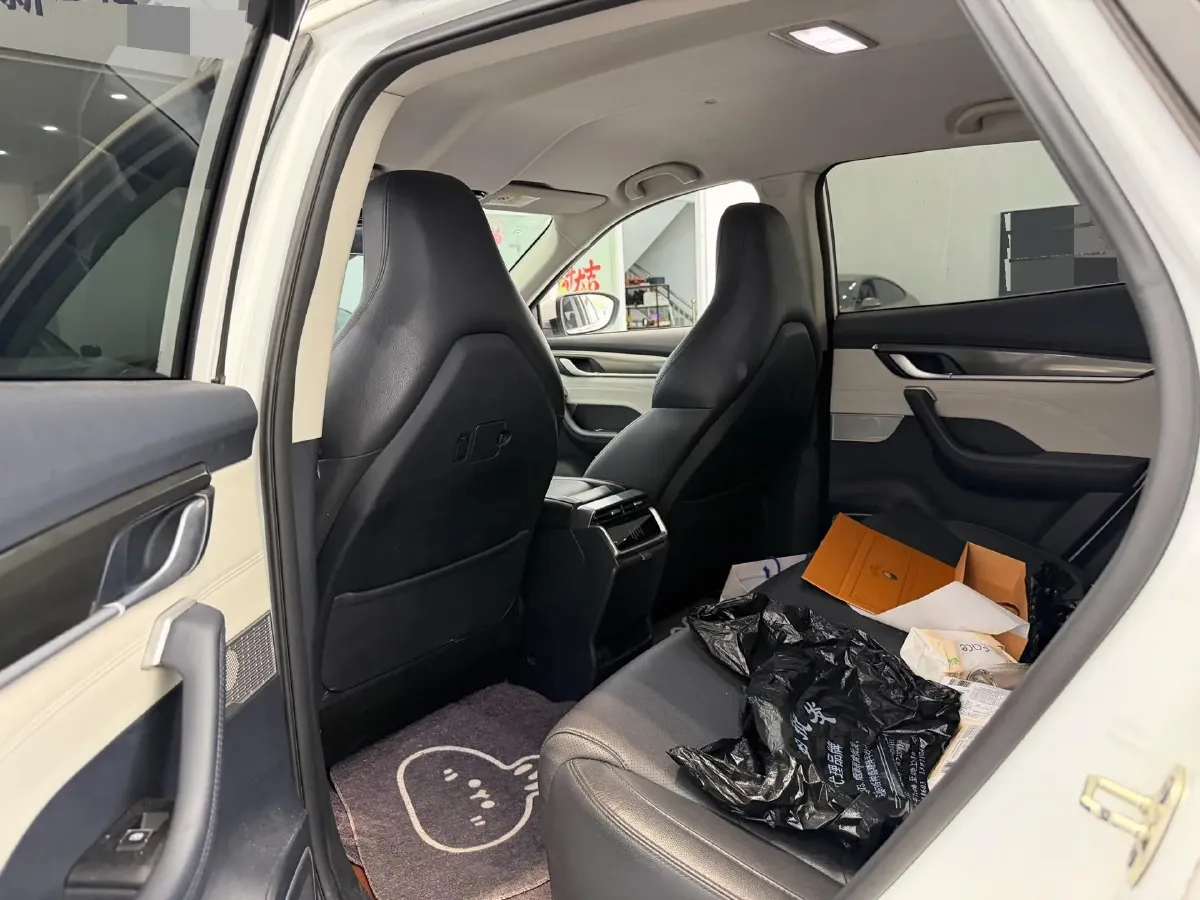 2020 Weltmeister EX5 BEV,autocango,china used car exporter,china ev exporter,chinese used car exporter,chinese used ev exporter