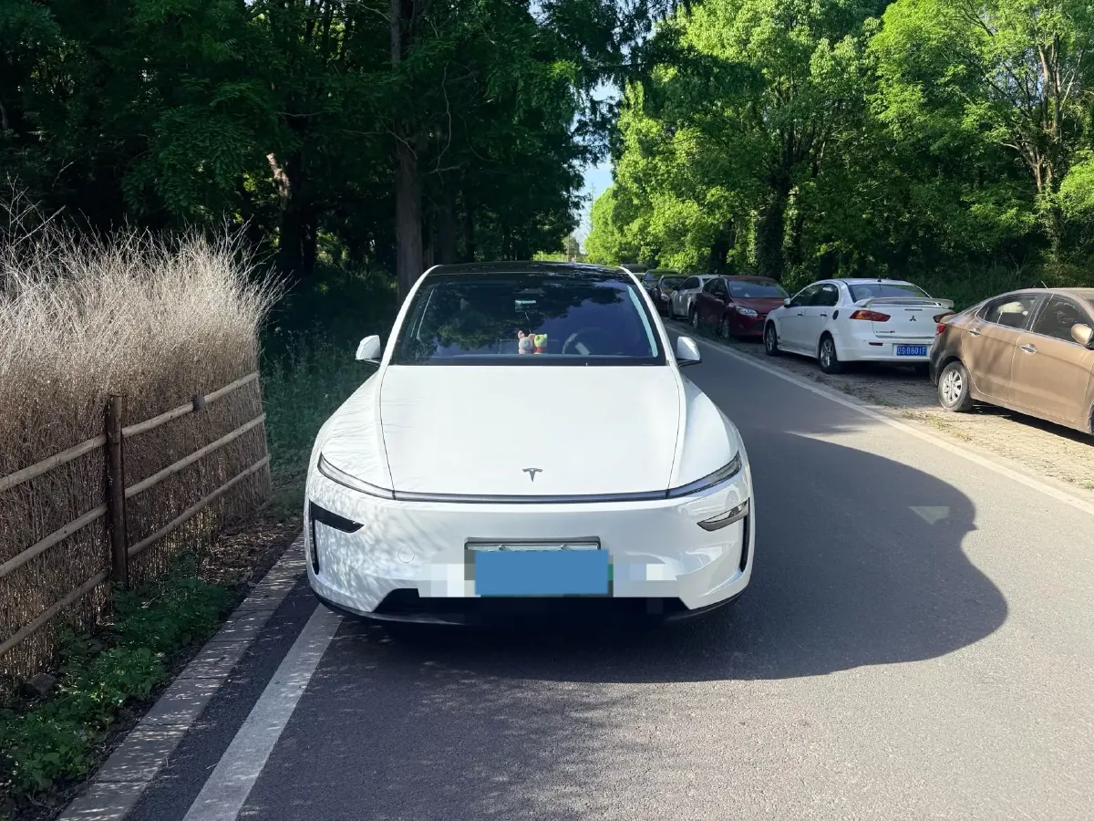 2025 Tesla Model Y BEV,autocango,china used car exporter,china ev exporter,chinese used car exporter,chinese used ev exporter