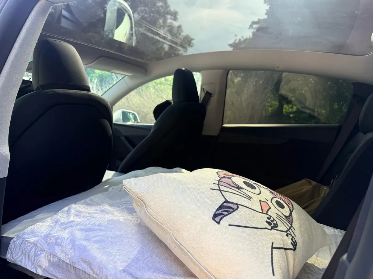 2025 Tesla Model Y BEV,autocango,china used car exporter,china ev exporter,chinese used car exporter,chinese used ev exporter
