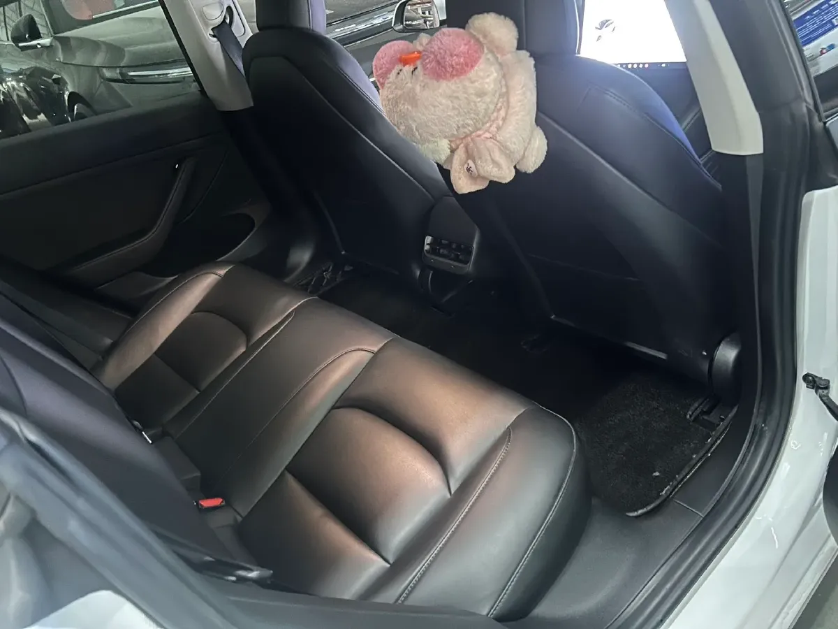 2021 Tesla Model 3 BEV 55KWH,autocango,china used car exporter,china ev exporter,chinese used car exporter,chinese used ev exporter
