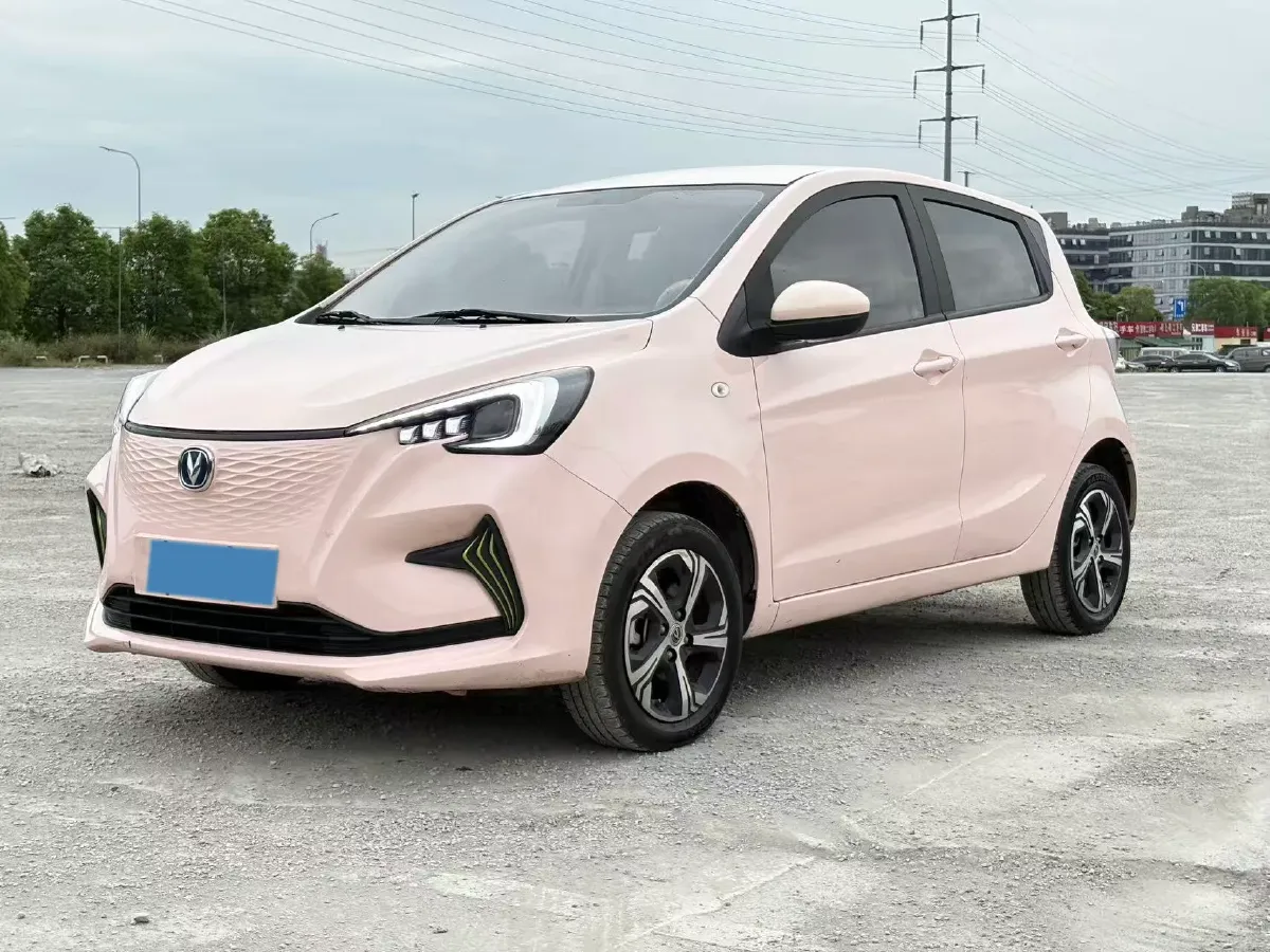2022 ChangAn BenBen E-Star BEV 31.95KWH,autocango,china used car exporter,china ev exporter,chinese used car exporter,chinese used ev exporter