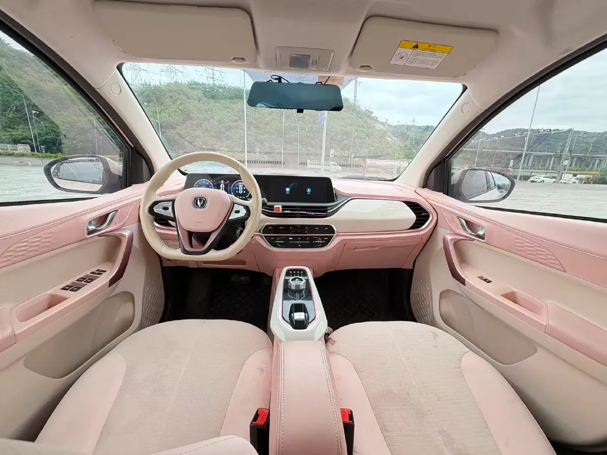 2022 ChangAn BenBen E-Star BEV 31.95KWH,autocango,china used car exporter,china ev exporter,chinese used car exporter,chinese used ev exporter