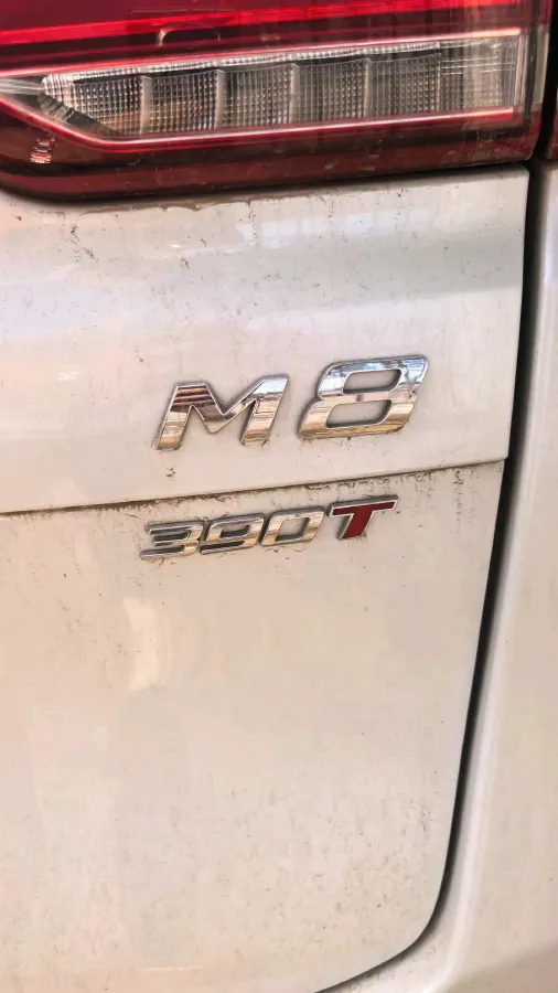 2023 GAC Trumpchi M8 2.0T 252HP L4 8AT,autocango,china used car exporter,china ev exporter,chinese used car exporter,chinese used ev exporter