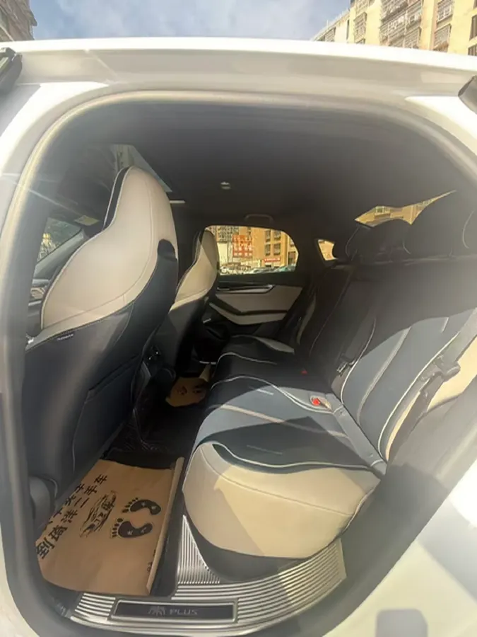 2021 DongFeng FuKang e Elysee BEV 38.4KWH,autocango,china used car exporter,china ev exporter,chinese used car exporter,chinese used ev exporter