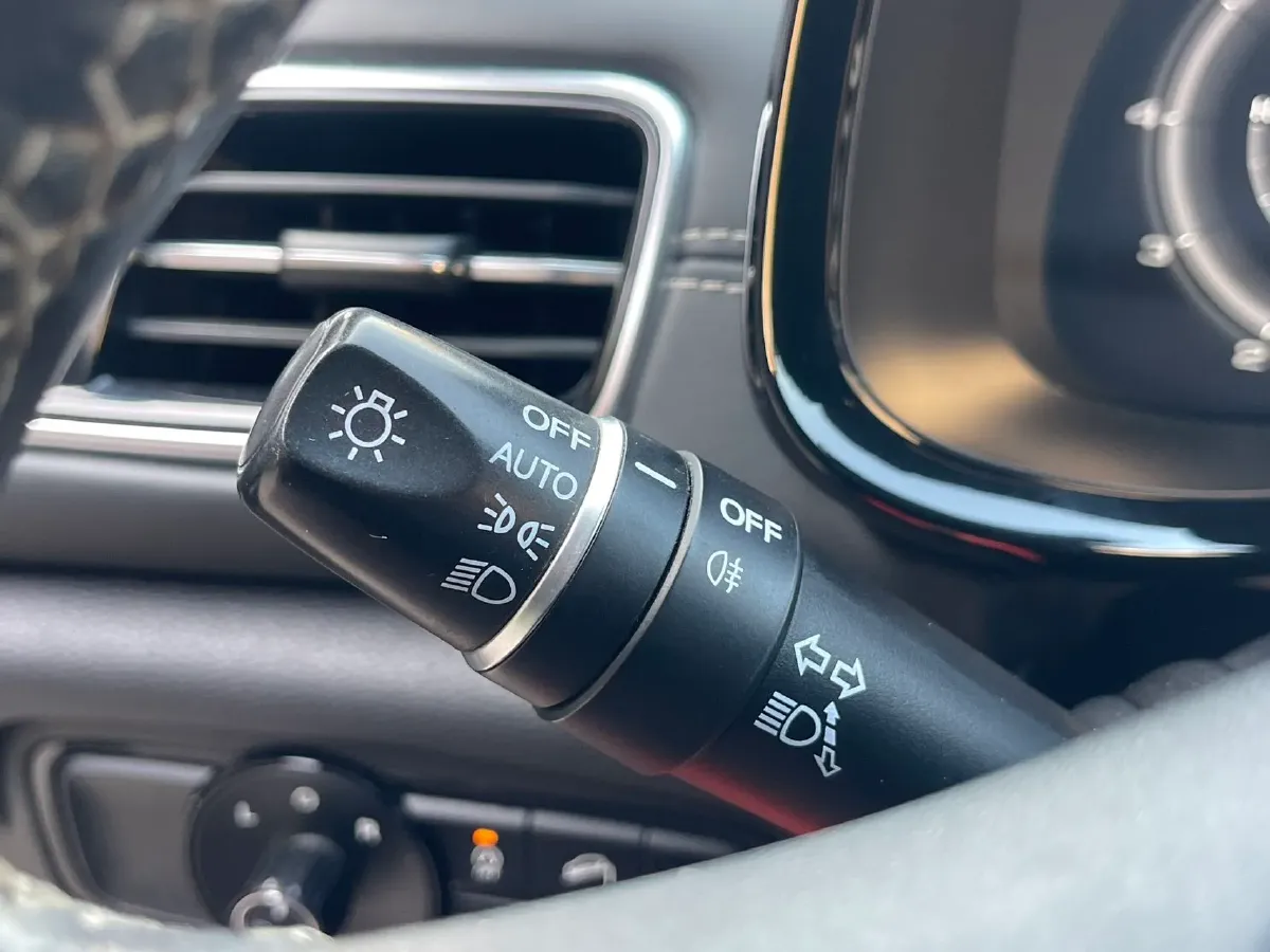 2020 GAC Trumpchi GS8 2.0T 252HP L4 6AT,autocango,china used car exporter,china ev exporter,chinese used car exporter,chinese used ev exporter