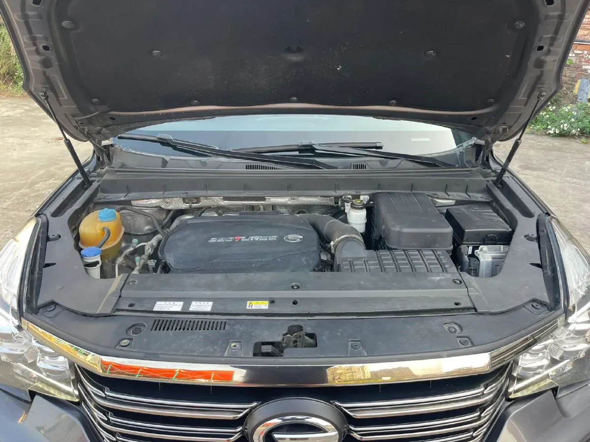 2020 GAC Trumpchi GS8 2.0T 252HP L4 6AT,autocango,china used car exporter,china ev exporter,chinese used car exporter,chinese used ev exporter