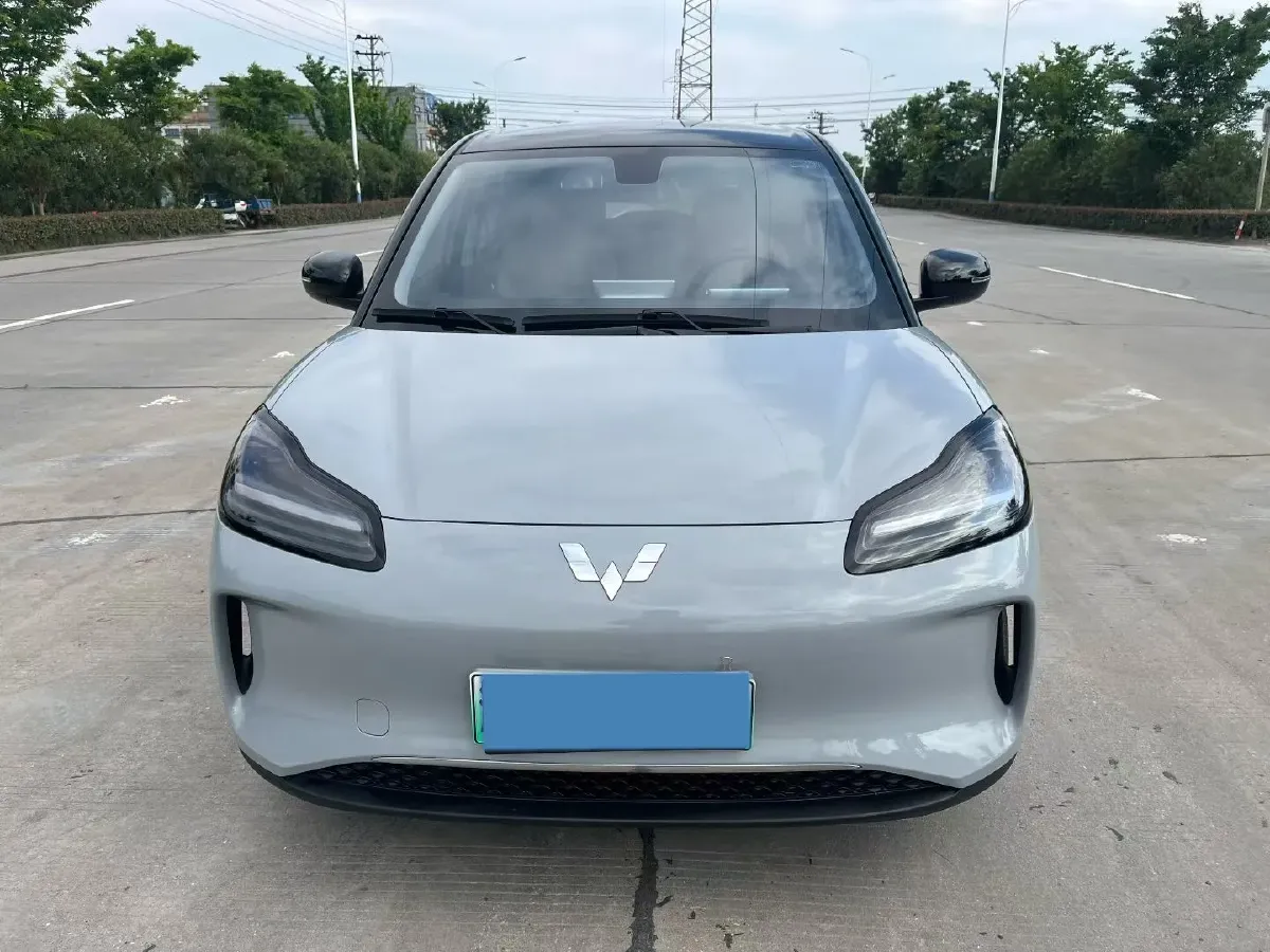 2024 WuLing BinGuoPLUS BEV 50.6KWH,autocango,china used car exporter,china ev exporter,chinese used car exporter,chinese used ev exporter