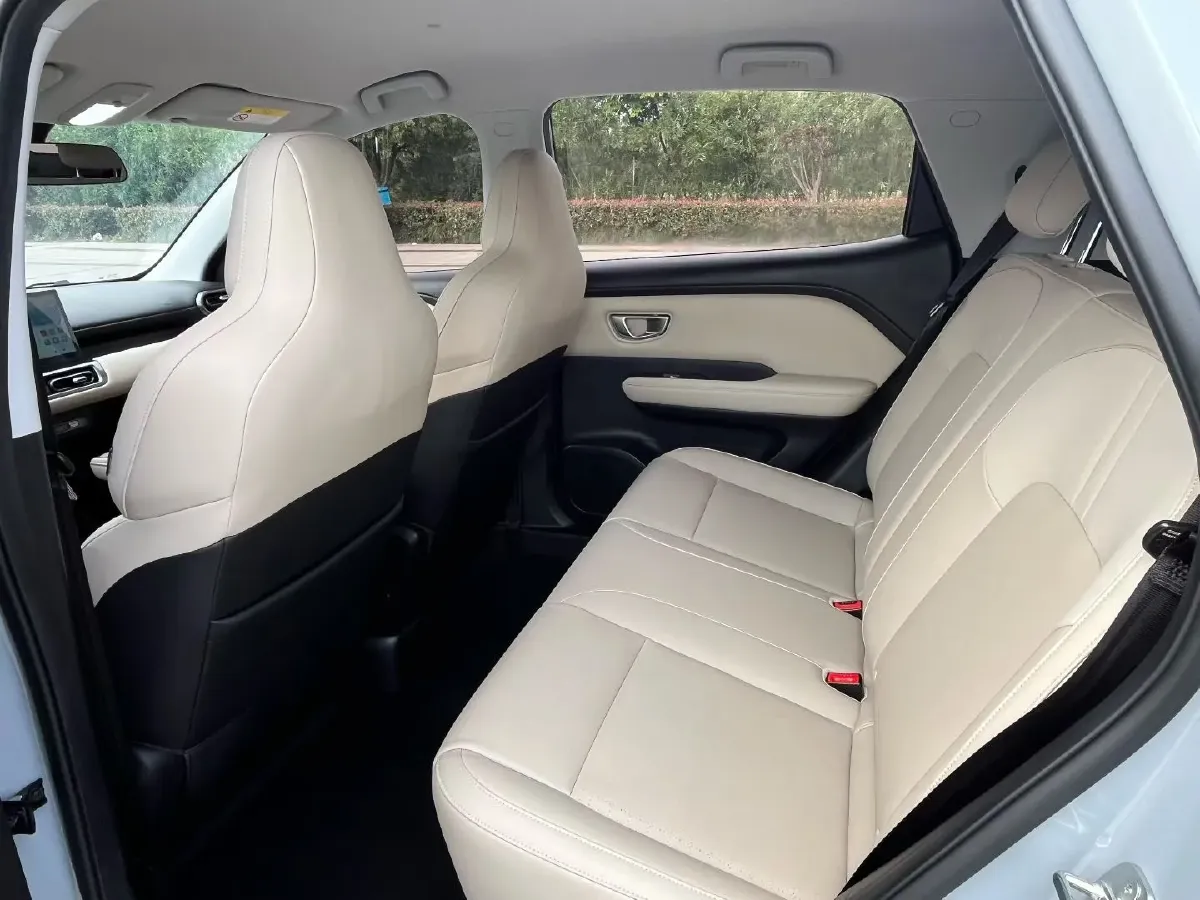 2024 WuLing BinGuoPLUS BEV 50.6KWH,autocango,china used car exporter,china ev exporter,chinese used car exporter,chinese used ev exporter