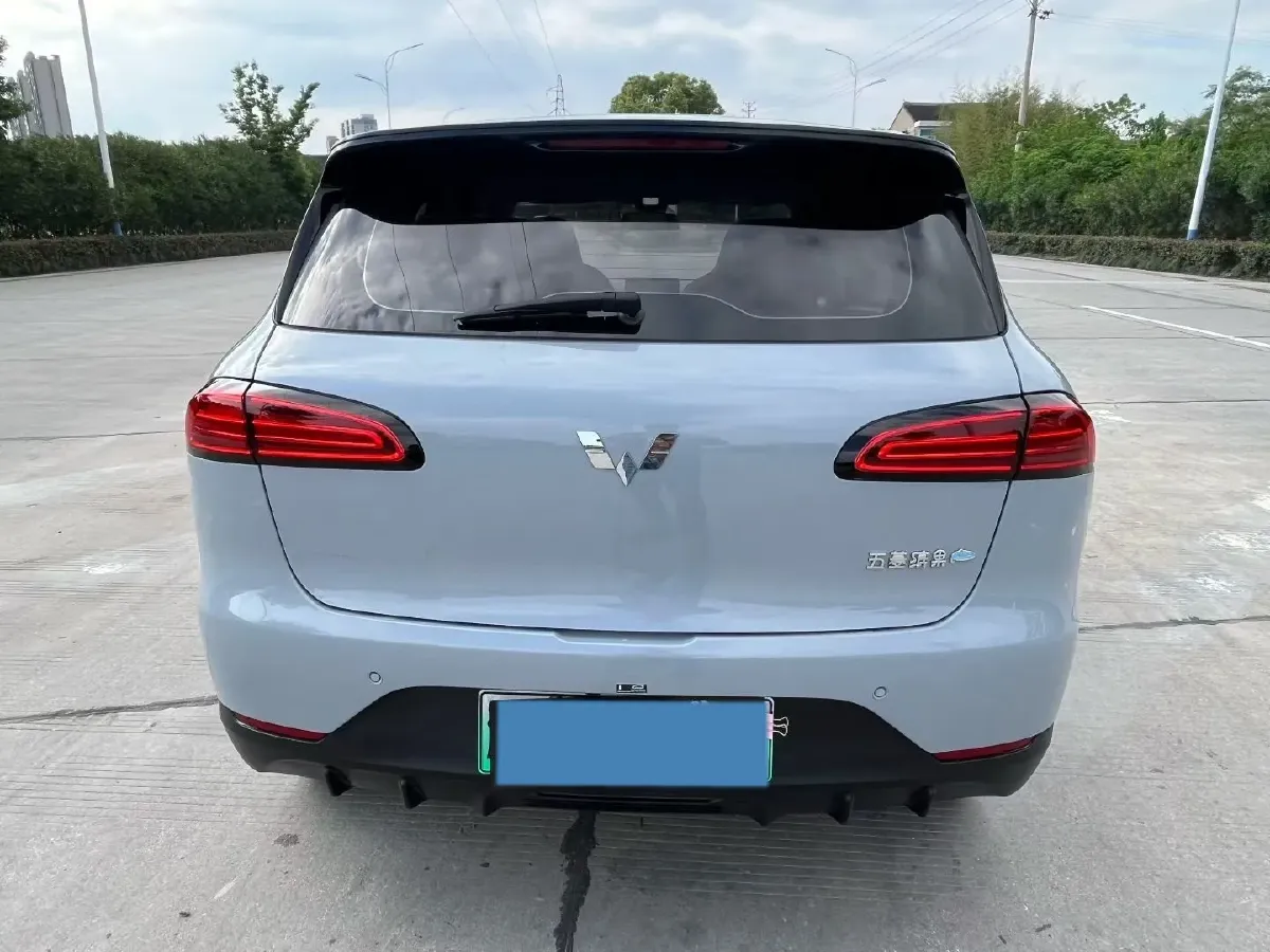 2024 WuLing BinGuoPLUS BEV 50.6KWH,autocango,china used car exporter,china ev exporter,chinese used car exporter,chinese used ev exporter