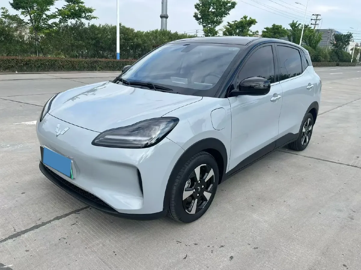 2024 WuLing BinGuoPLUS BEV 50.6KWH,autocango,china used car exporter,china ev exporter,chinese used car exporter,chinese used ev exporter