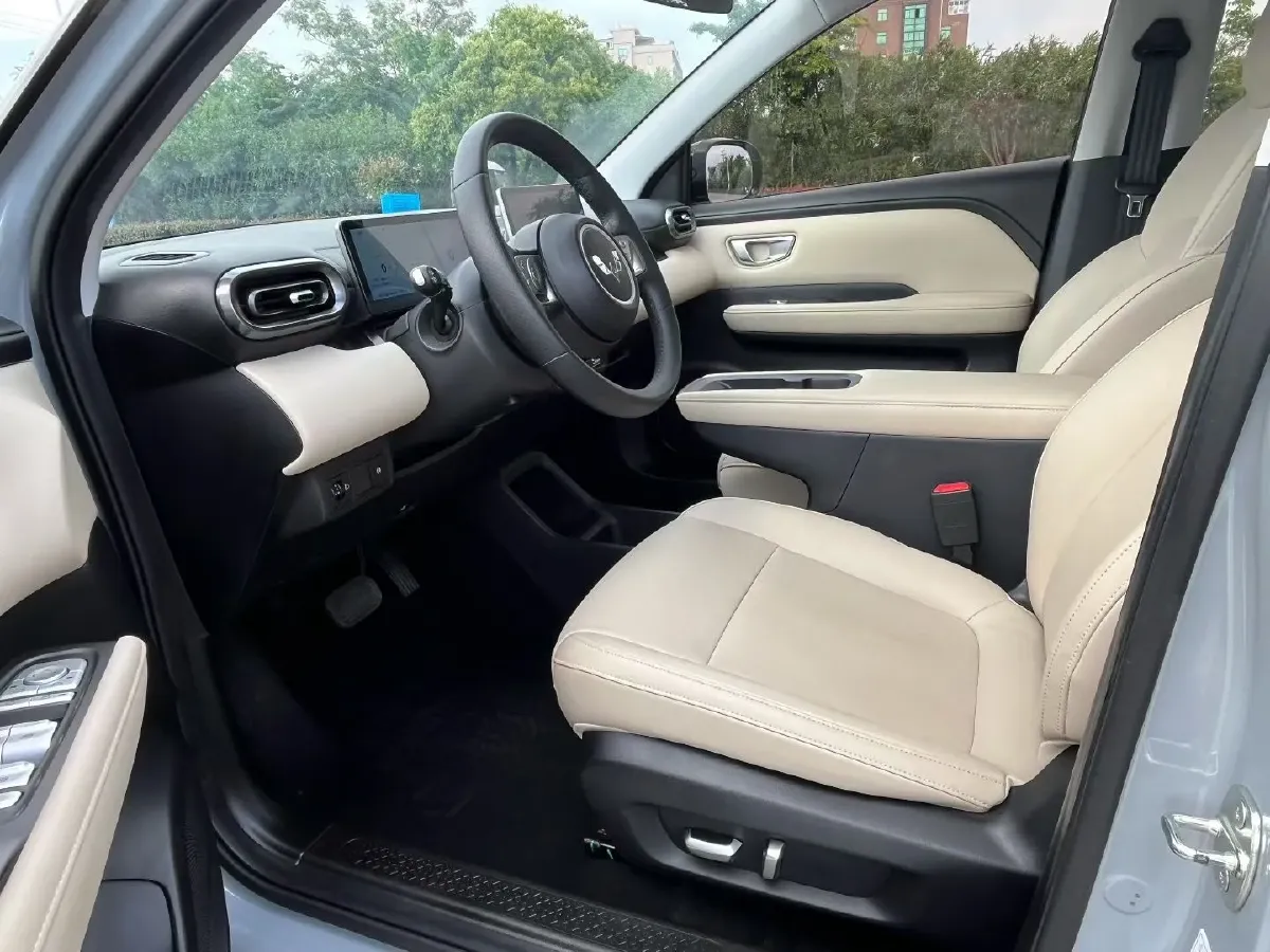 2024 WuLing BinGuoPLUS BEV 50.6KWH,autocango,china used car exporter,china ev exporter,chinese used car exporter,chinese used ev exporter