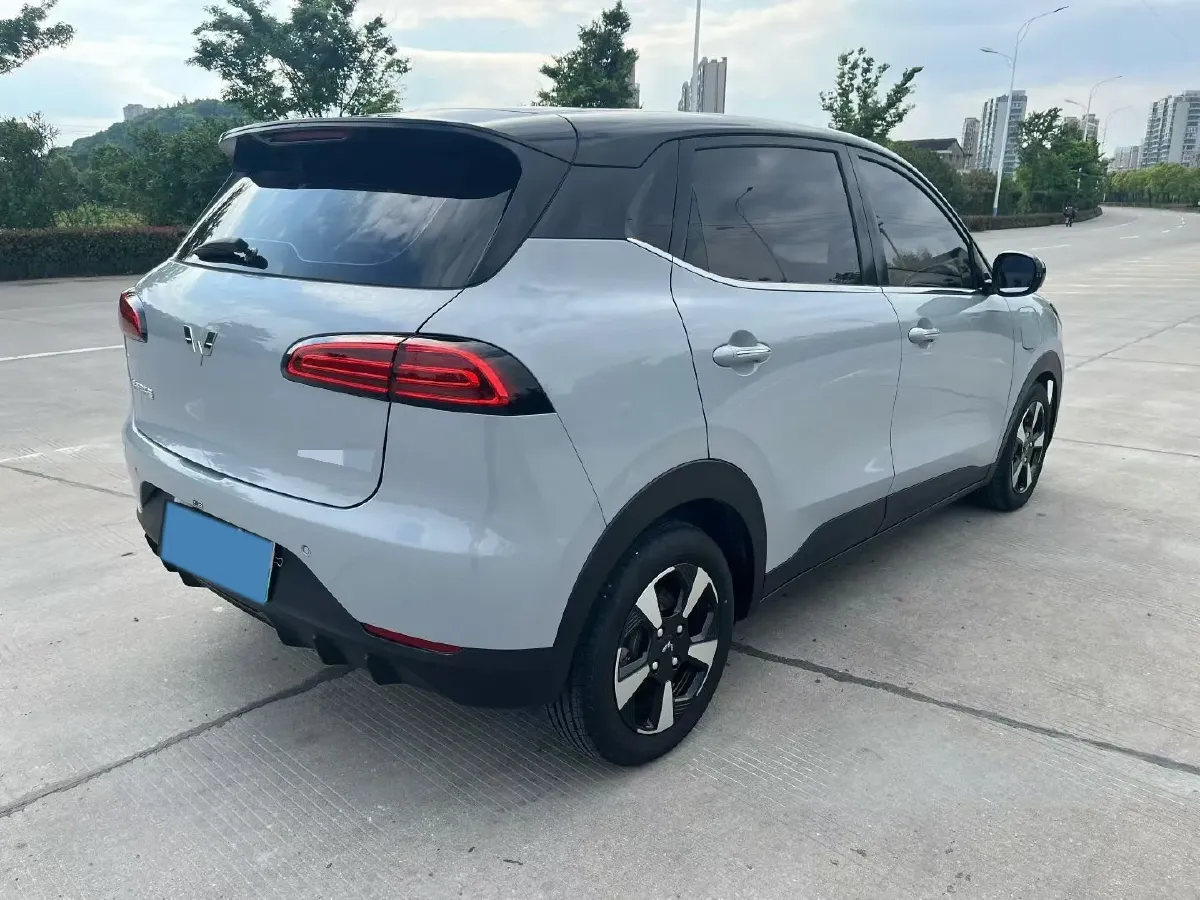 2024 WuLing BinGuoPLUS BEV 50.6KWH,autocango,china used car exporter,china ev exporter,chinese used car exporter,chinese used ev exporter