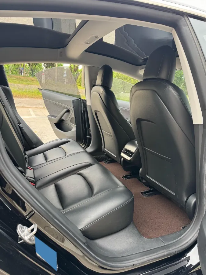 2020 Tesla Model 3 BEV 52KWH,autocango,china used car exporter,china ev exporter,chinese used car exporter,chinese used ev exporter