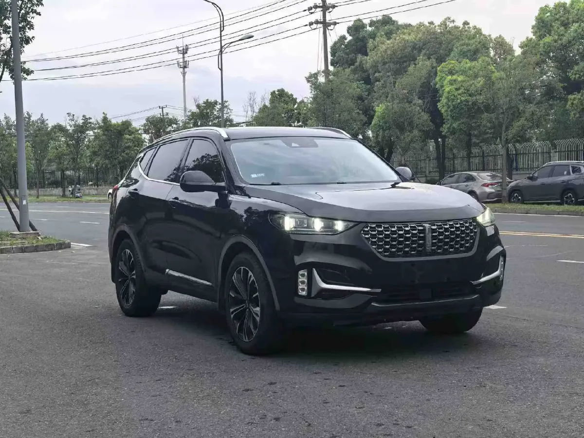 2021 WEY VV6 2.0T 227HP L4 7DCT,autocango,china used car exporter,china ev exporter,chinese used car exporter,chinese used ev exporter