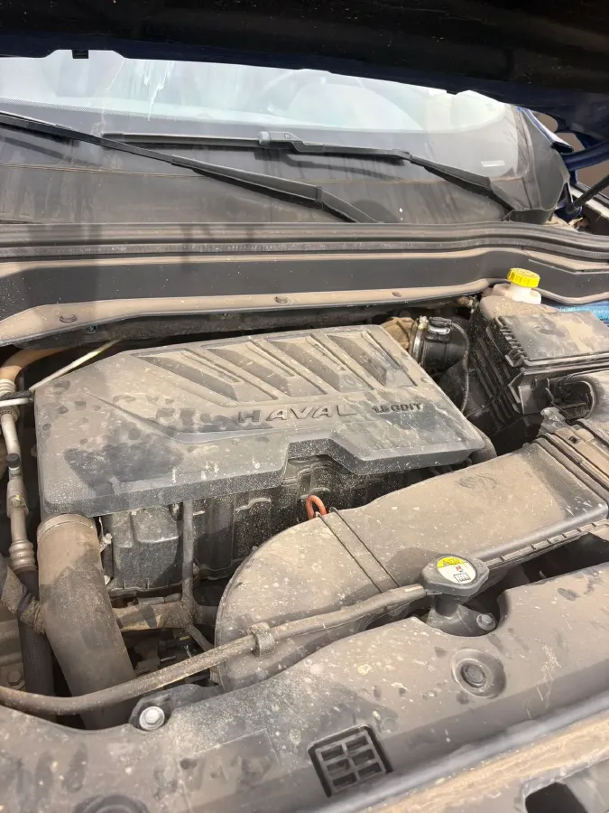 2019 Haval H6 1.5T 169HP L4 7DCT,autocango,china used car exporter,china ev exporter,chinese used car exporter,chinese used ev exporter
