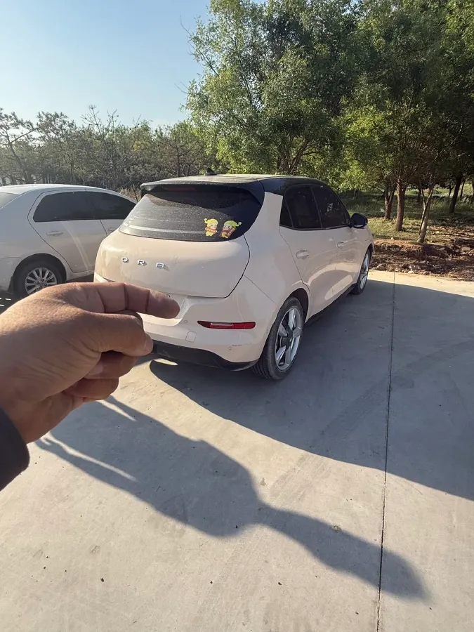 2021 Ora FunkyCat BEV 45.99KWH,autocango,china used car exporter,china ev exporter,chinese used car exporter,chinese used ev exporter