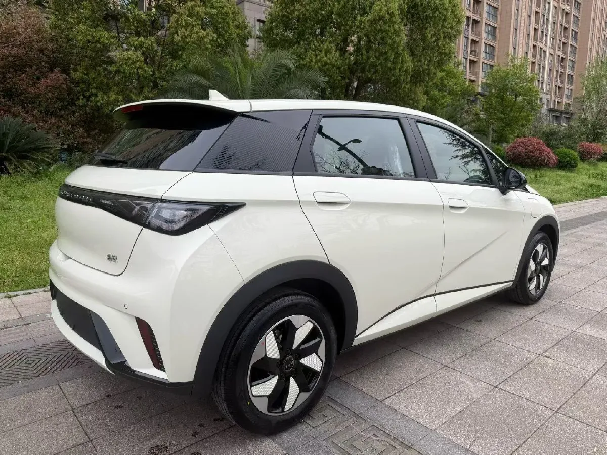 2025 BYD Dolphin BEV 44.928KWH,autocango,china used car exporter,china ev exporter,chinese used car exporter,chinese used ev exporter