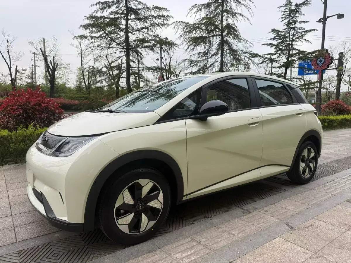 2025 BYD Dolphin BEV 44.928KWH,autocango,china used car exporter,china ev exporter,chinese used car exporter,chinese used ev exporter