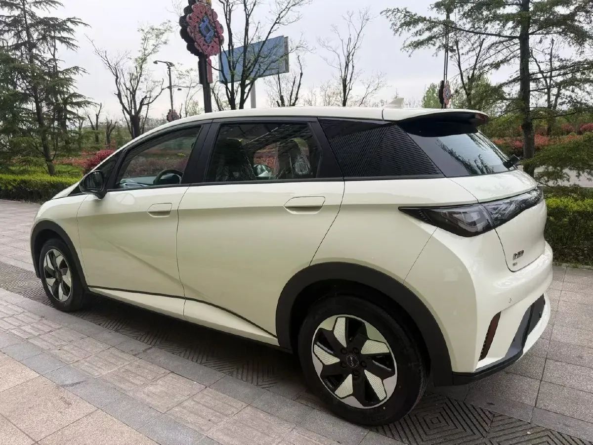 2025 BYD Dolphin BEV 44.928KWH,autocango,china used car exporter,china ev exporter,chinese used car exporter,chinese used ev exporter