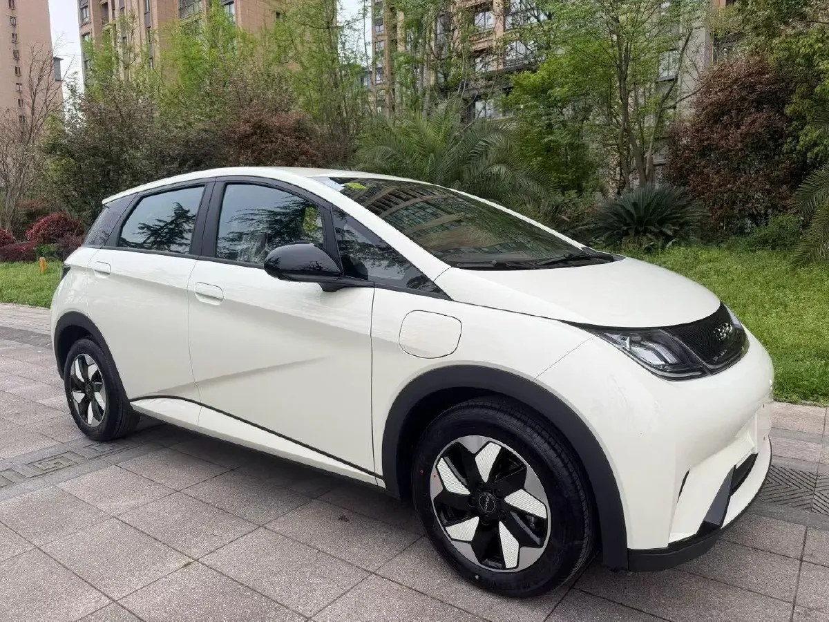 2025 BYD Dolphin BEV 44.928KWH,autocango,china used car exporter,china ev exporter,chinese used car exporter,chinese used ev exporter