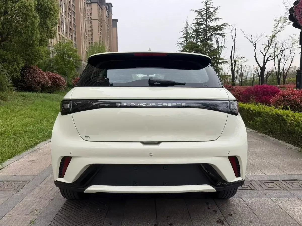 2025 BYD Dolphin BEV 44.928KWH,autocango,china used car exporter,china ev exporter,chinese used car exporter,chinese used ev exporter
