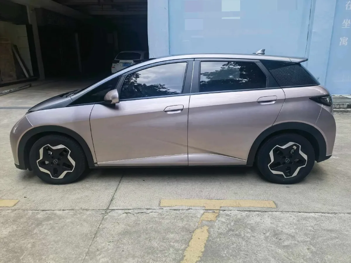 2021 BYD Yuan Pro BEV 50.1KWH,autocango,china used car exporter,china ev exporter,chinese used car exporter,chinese used ev exporter