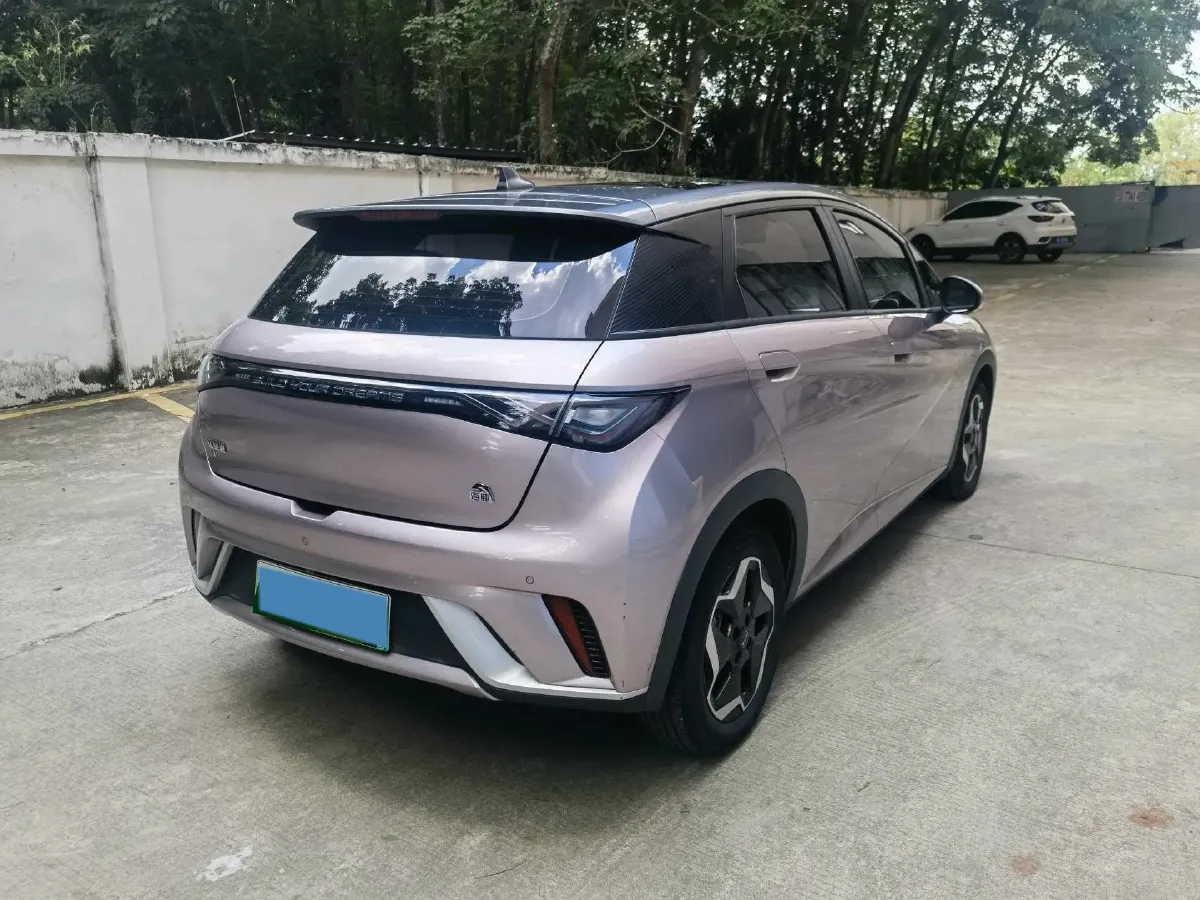 2021 BYD Yuan Pro BEV 50.1KWH,autocango,china used car exporter,china ev exporter,chinese used car exporter,chinese used ev exporter