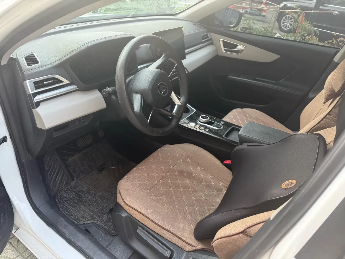 2021 BYD Qin BEV 53.56KWH,autocango,china used car exporter,china ev exporter,chinese used car exporter,chinese used ev exporter