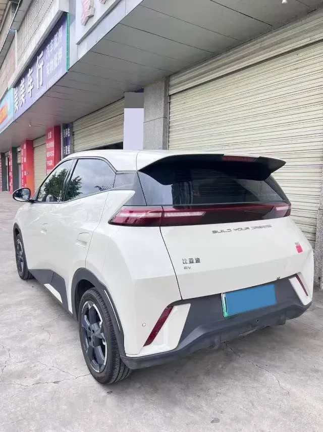 2023 BYD Seagull BEV 30.08KWH,autocango,china used car exporter,china ev exporter,chinese used car exporter,chinese used ev exporter