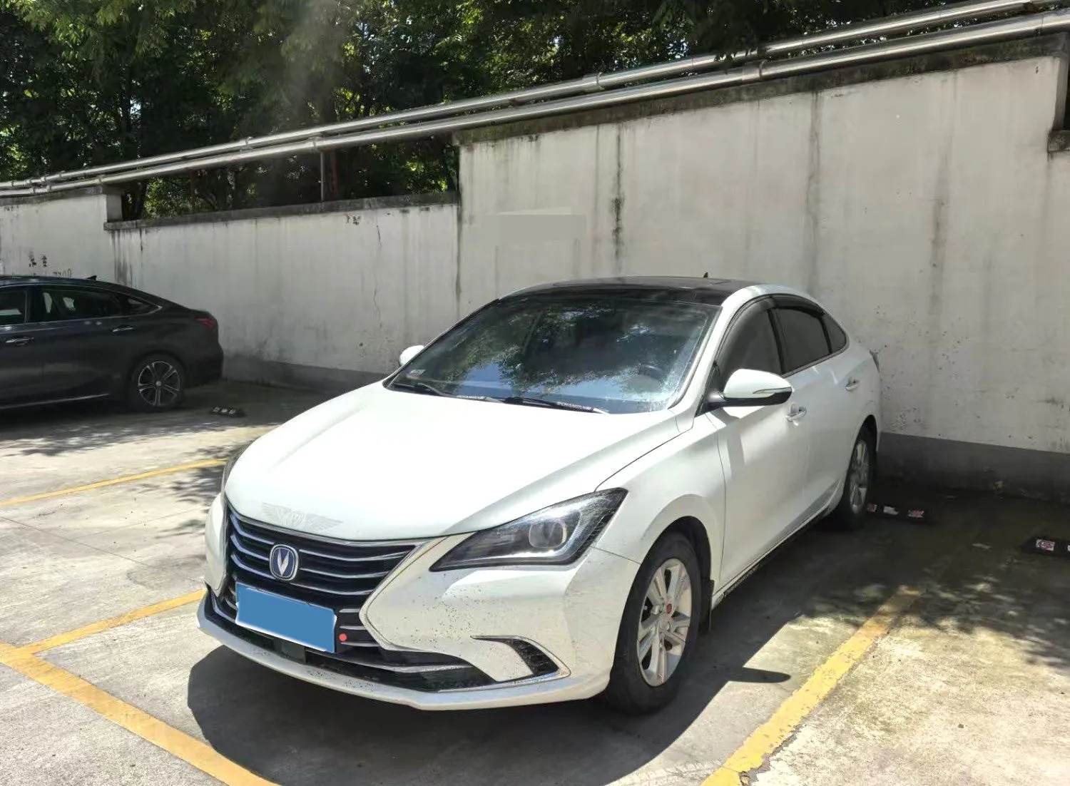 autocango,china used car exporter,china ev exporter,chinese used car exporter,chinese used ev exporter