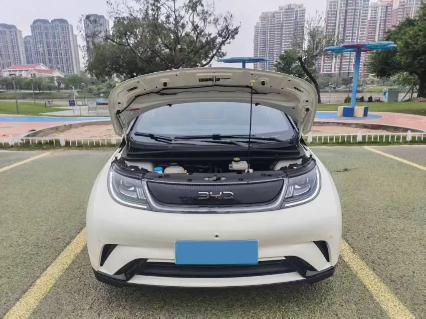 2024 BYD Dolphin BEV 44.928KWH,autocango,china used car exporter,china ev exporter,chinese used car exporter,chinese used ev exporter