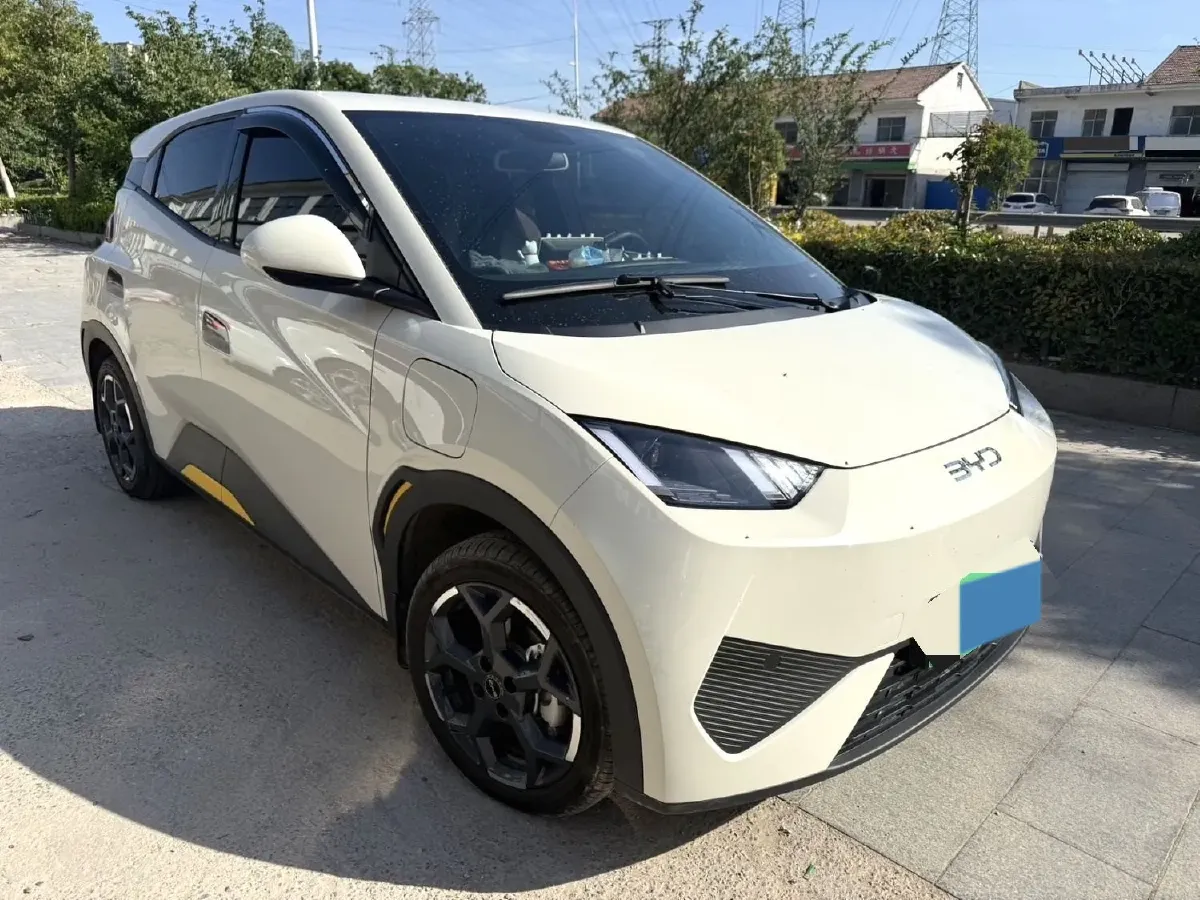 2025 BYD Seagull BEV,autocango,china used car exporter,china ev exporter,chinese used car exporter,chinese used ev exporter
