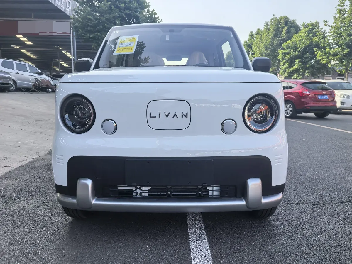 2025 Geely Lanqiqiu BEV,autocango,china used car exporter,china ev exporter,chinese used car exporter,chinese used ev exporter