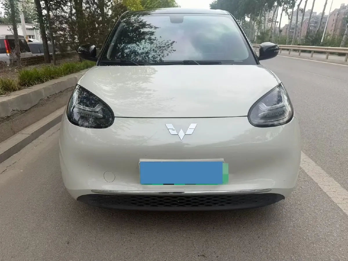 2023 WuLing BinGuo BEV 37.9KWH,autocango,china used car exporter,china ev exporter,chinese used car exporter,chinese used ev exporter