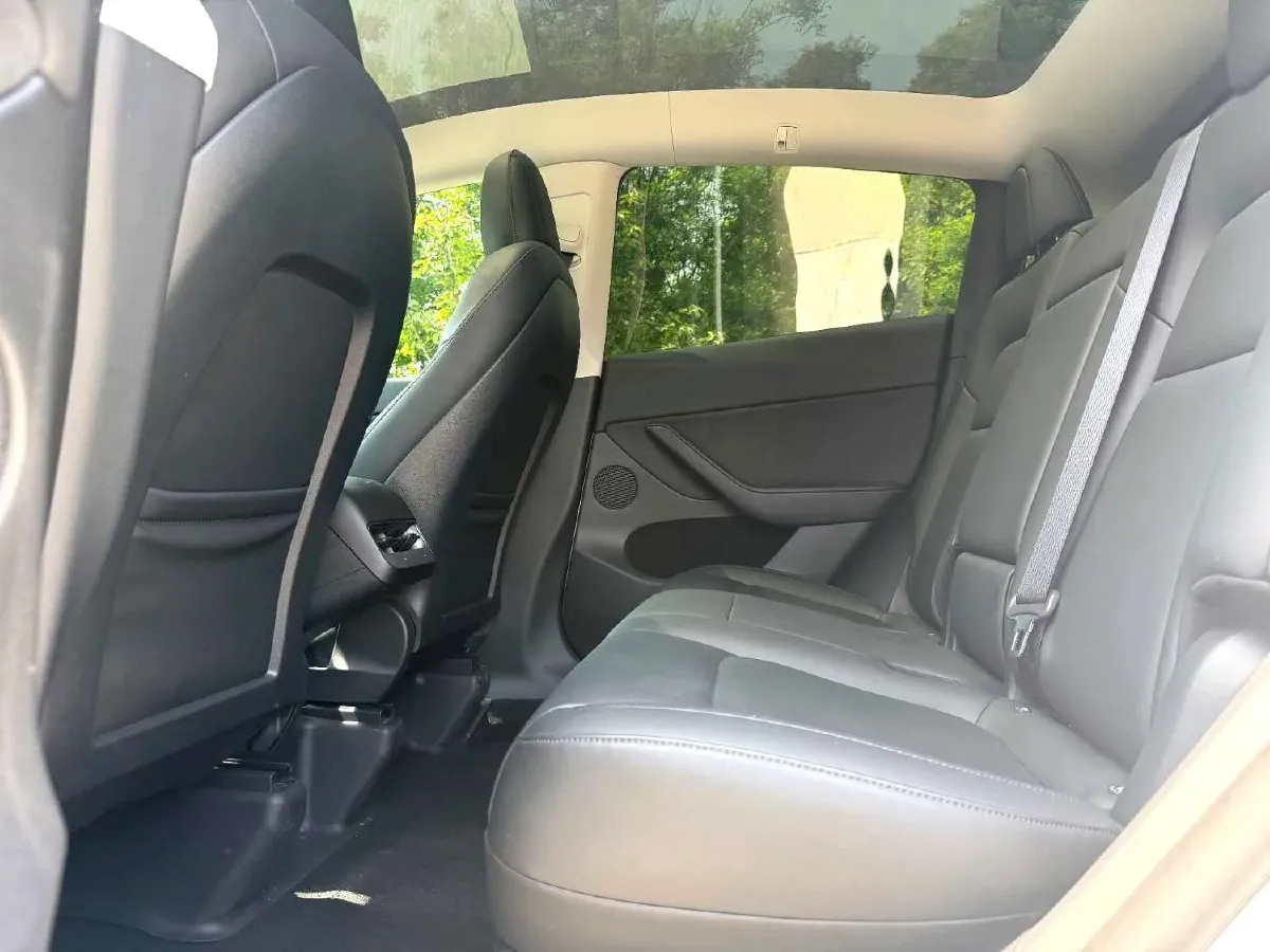 2021 Tesla Model 3 BEV 76.8KWH,autocango,china used car exporter,china ev exporter,chinese used car exporter,chinese used ev exporter