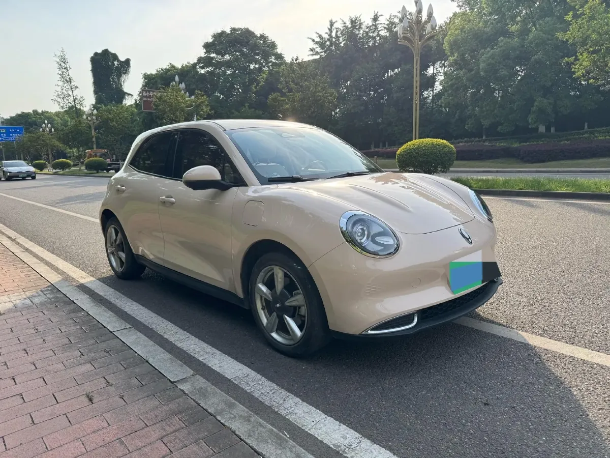 2023 Ora FunkyCat BEV 45.99KWH,autocango,china used car exporter,china ev exporter,chinese used car exporter,chinese used ev exporter