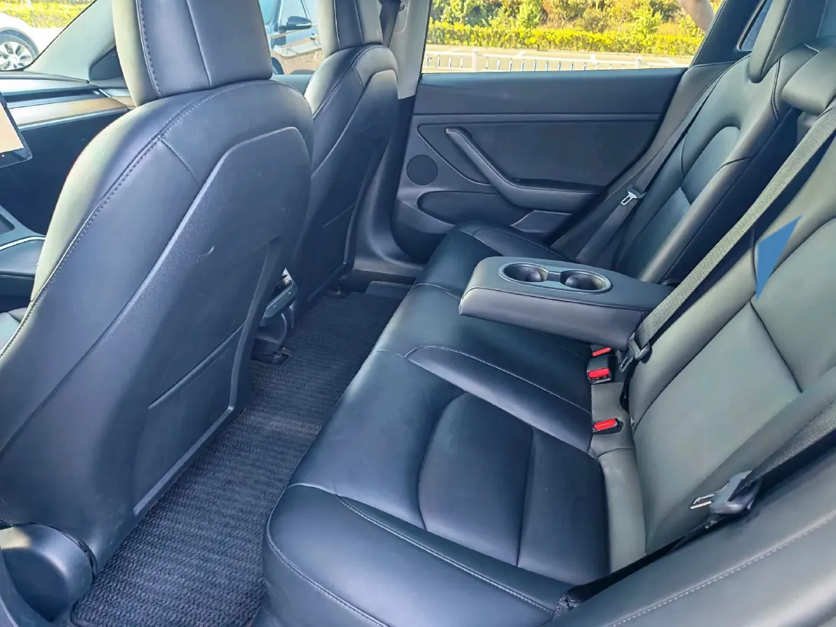 2021 Tesla Model 3 BEV 55KWH,autocango,china used car exporter,china ev exporter,chinese used car exporter,chinese used ev exporter