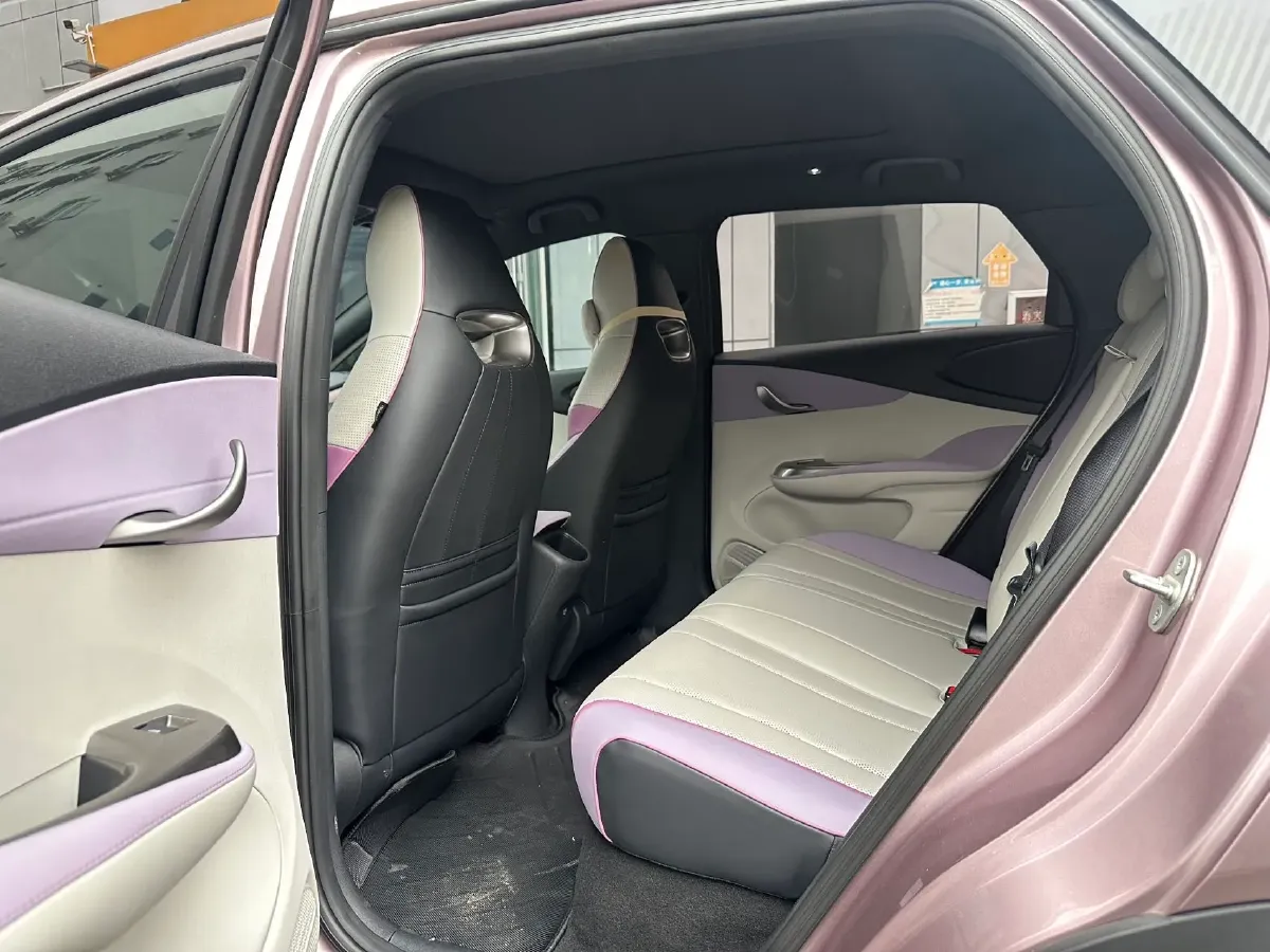 2023 BYD Dolphin BEV 44.928KWH,autocango,china used car exporter,china ev exporter,chinese used car exporter,chinese used ev exporter
