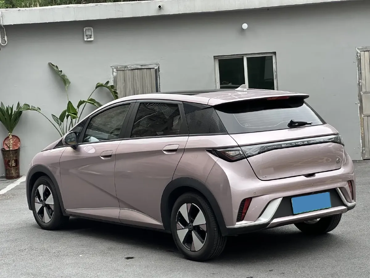 2023 BYD Dolphin BEV 44.928KWH,autocango,china used car exporter,china ev exporter,chinese used car exporter,chinese used ev exporter