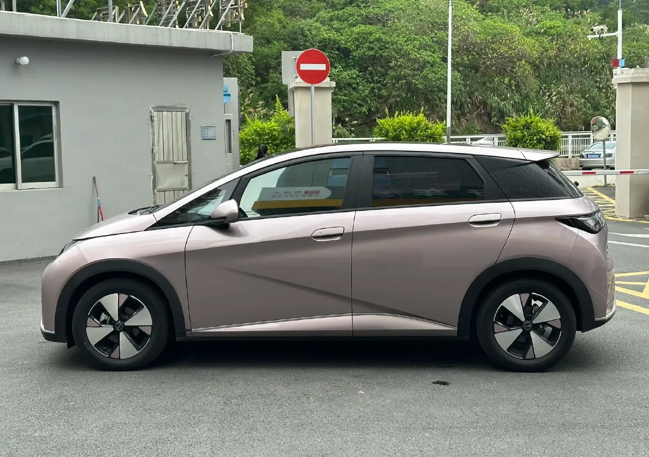 2023 BYD Dolphin BEV 44.928KWH,autocango,china used car exporter,china ev exporter,chinese used car exporter,chinese used ev exporter