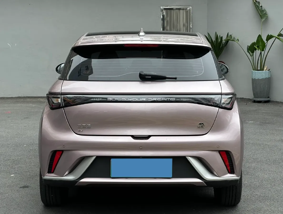 2023 BYD Dolphin BEV 44.928KWH,autocango,china used car exporter,china ev exporter,chinese used car exporter,chinese used ev exporter