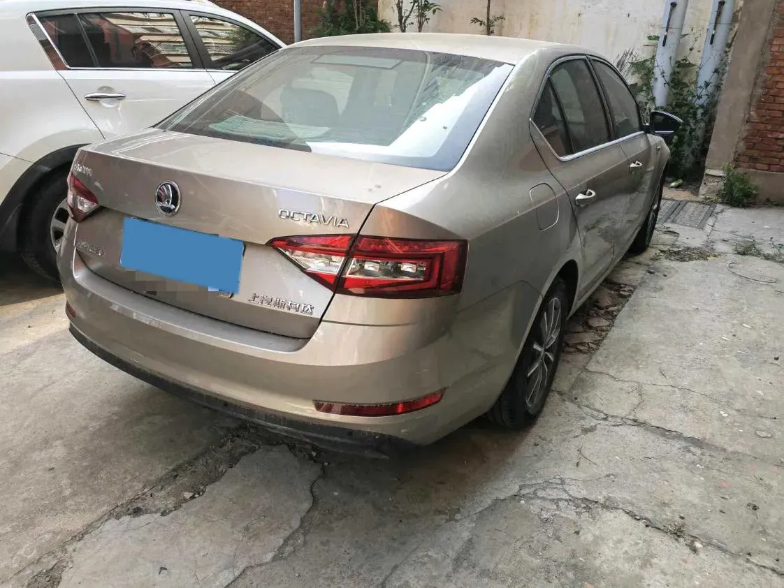 2019 Skoda Octavia 1.2T 116HP L4 7DCT,autocango,china used car exporter,china ev exporter,chinese used car exporter,chinese used ev exporter