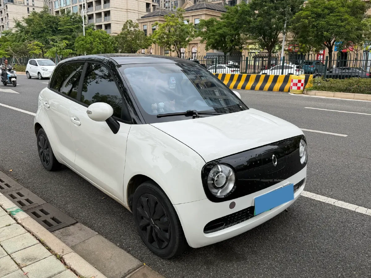 2022 Ora BlackCat BEV 30.3KWH,autocango,china used car exporter,china ev exporter,chinese used car exporter,chinese used ev exporter