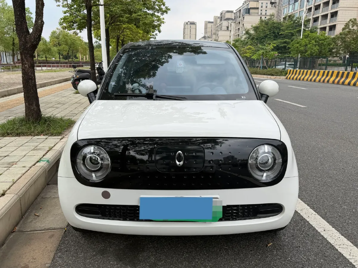 2022 Ora BlackCat BEV 30.3KWH,autocango,china used car exporter,china ev exporter,chinese used car exporter,chinese used ev exporter