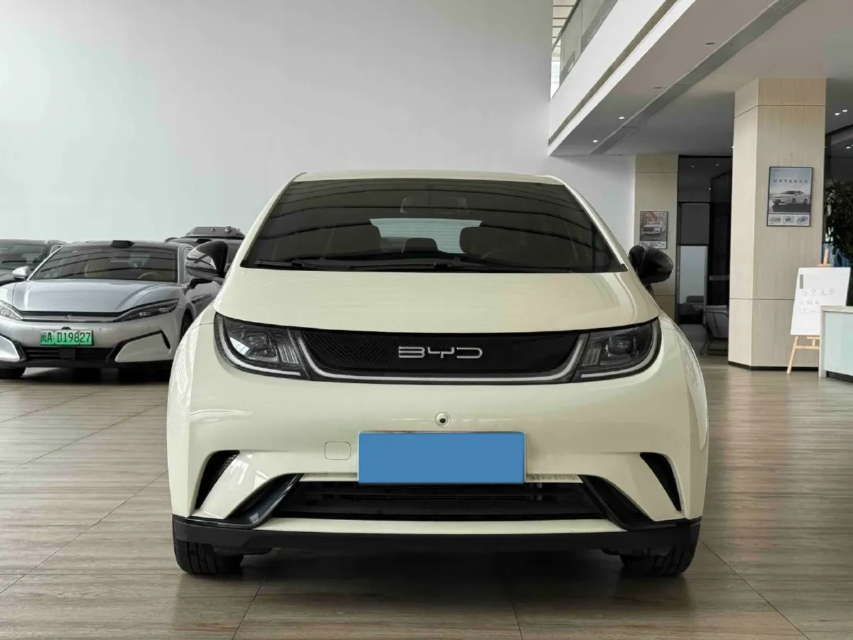 2023 BYD Dolphin BEV 44.928KWH,autocango,china used car exporter,china ev exporter,chinese used car exporter,chinese used ev exporter