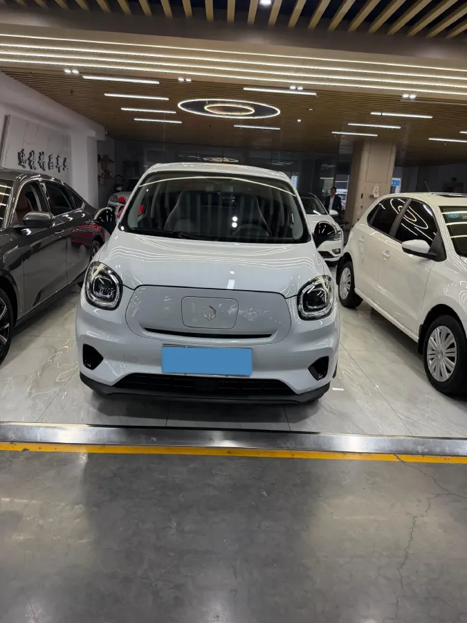 2022 Sehol HuaXianZi BEV 31.4KWH,autocango,china used car exporter,china ev exporter,chinese used car exporter,chinese used ev exporter