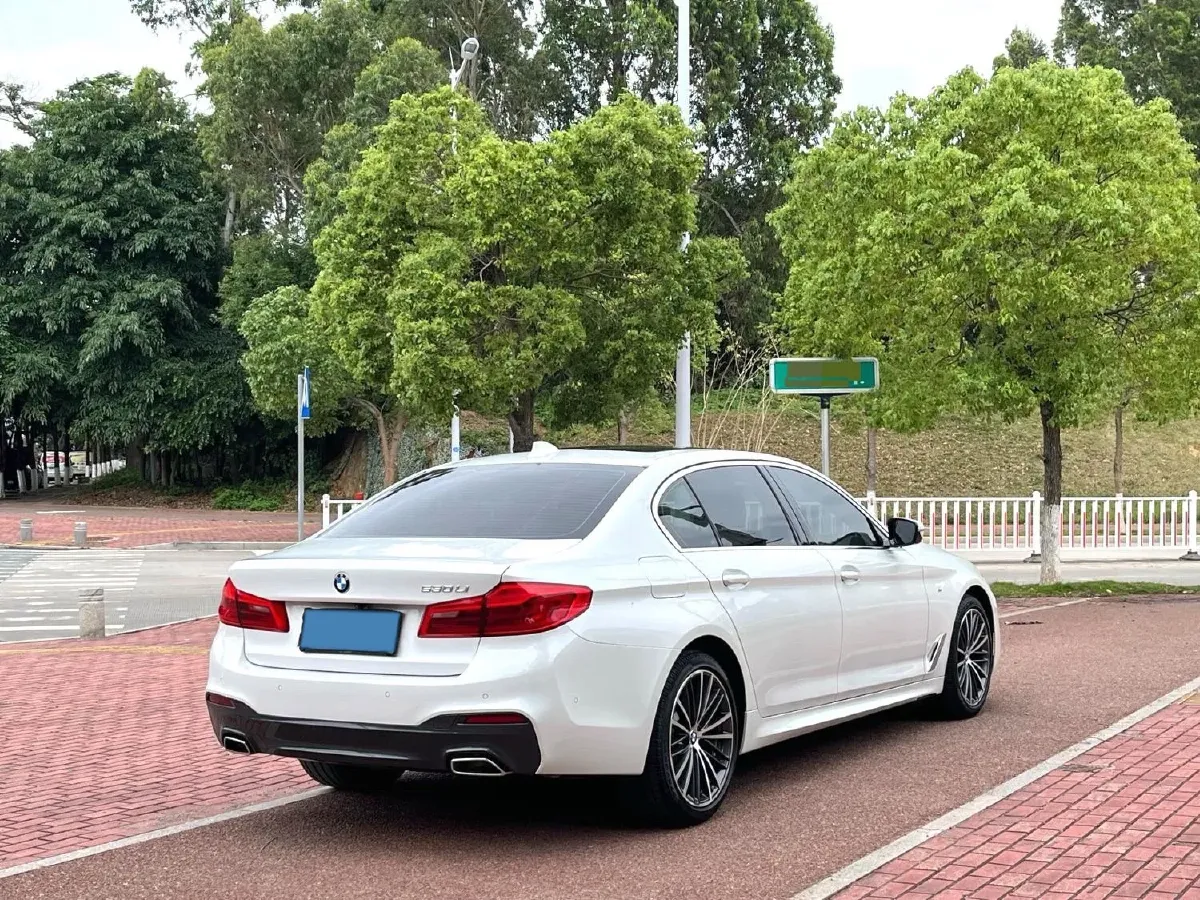 2020 BMW 5 Series 2.0T 252HP L4 8AT,autocango,china used car exporter,china ev exporter,chinese used car exporter,chinese used ev exporter